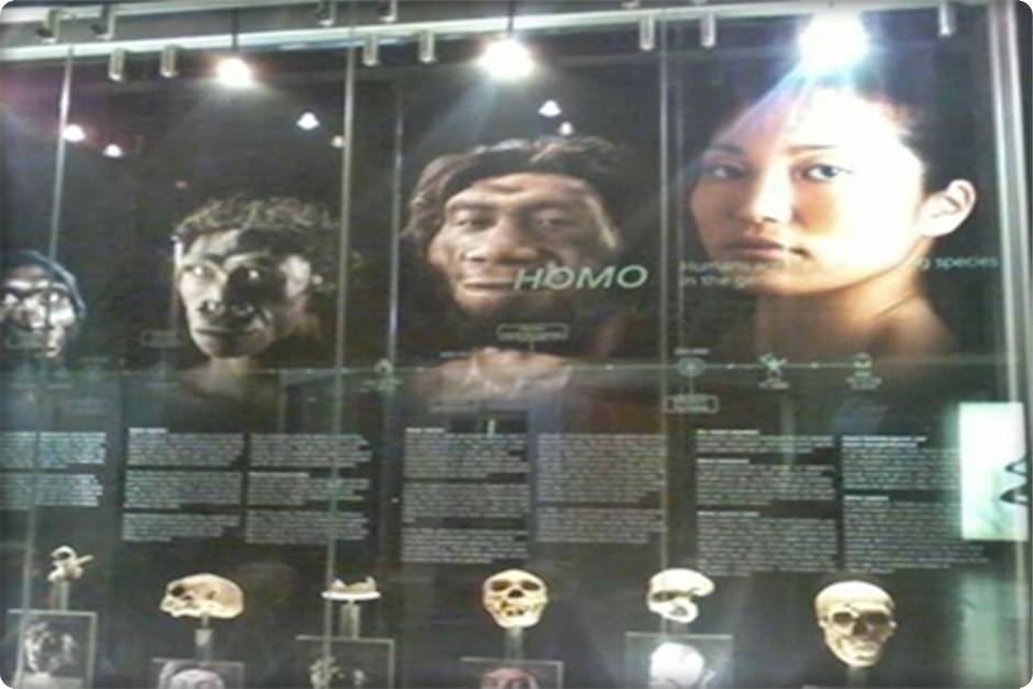 Cradle of Humankind